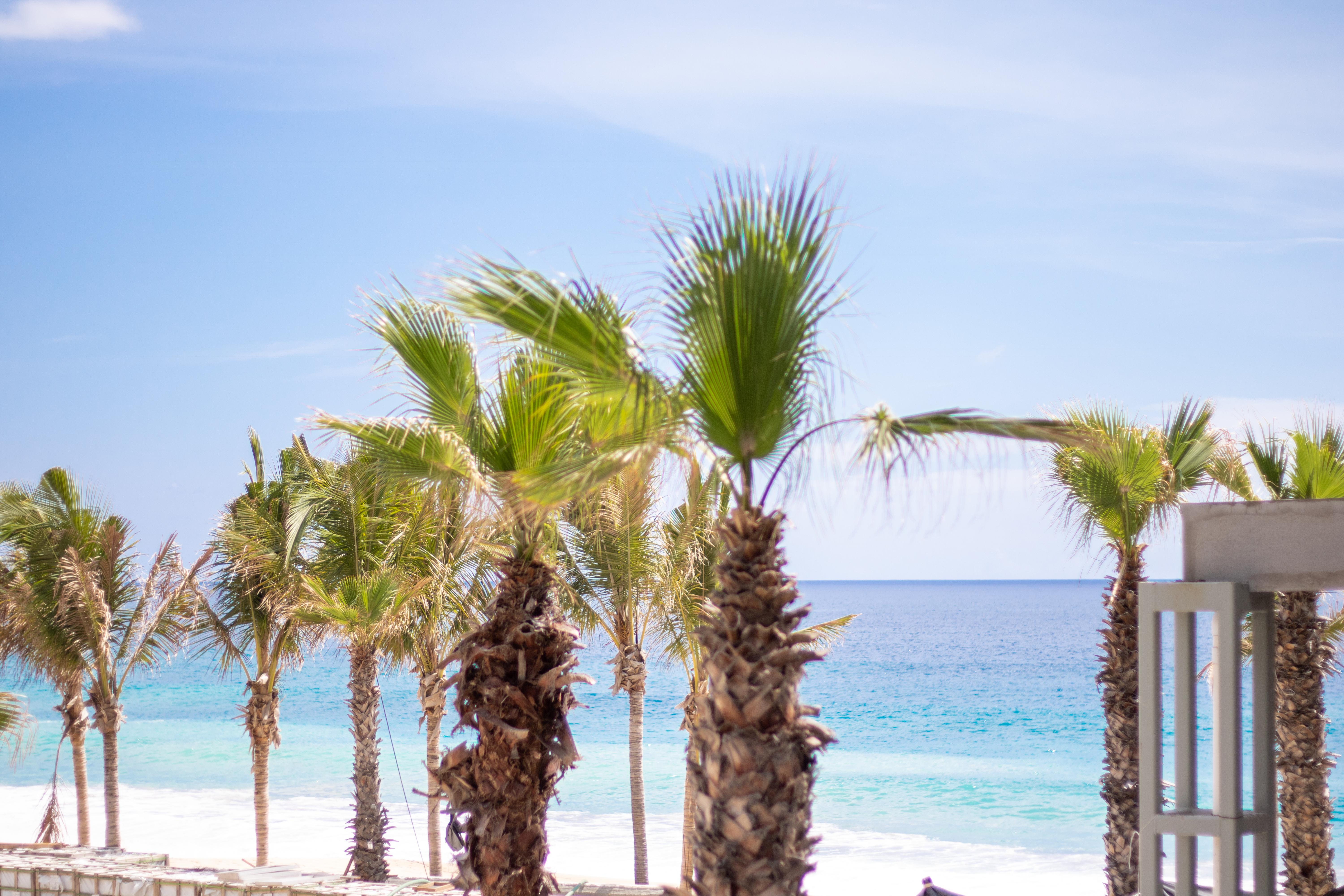 Garza Blanca Resort & Spa Los Cabos Cabo San Lucas Zewnętrze zdjęcie